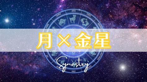 金星12宮前世|獨一無二的人生拼圖:命盤第十二宮－蘇飛雅占星 sophiology｜痞客